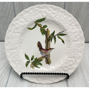 Alfred Meakin BEWICK'S WREN #18 Plate Birds of America National AUDUBON Society